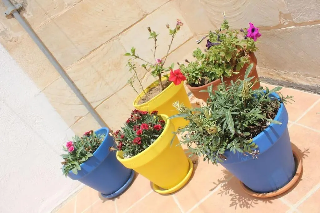 Vakantiehuis That Little Zurrieq Malta