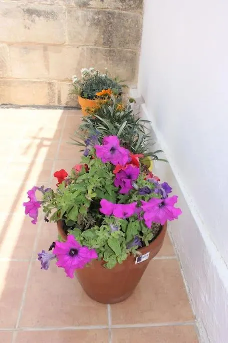 That Little Zurrieq Holiday home